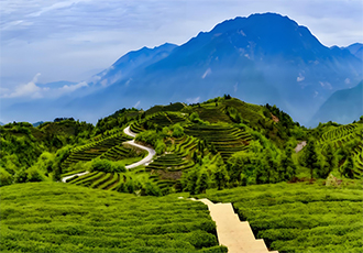 接力40載終破局！遼寧地礦集團發現一處1500噸世界級金礦